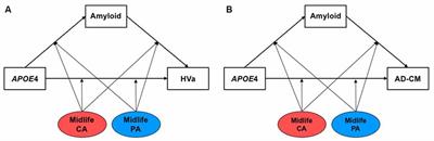 Midlife Lifestyle Activities Moderate APOE ε4 Effect on in vivo Alzheimer’s Disease Pathologies